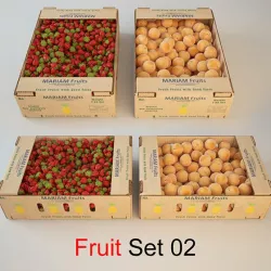 Fruit Set 02