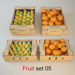Fruit Set 05