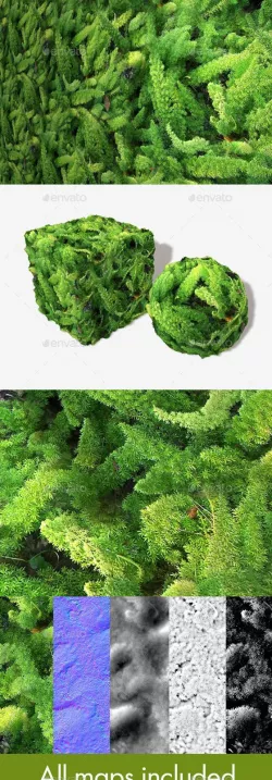 Furry Jungle Plants Seamless Texture