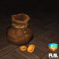 Gold coin bag