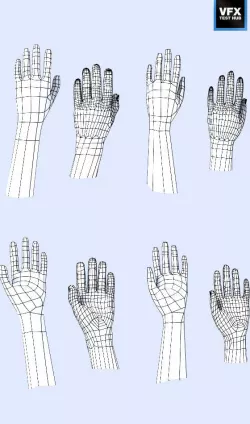 Hand Pack