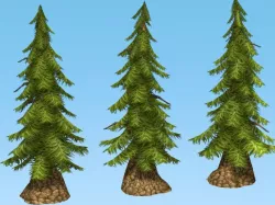 Hand painted Pine Tree