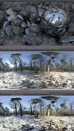 HDRI - Winter Forest
