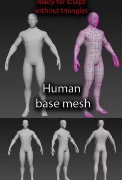 Human base mesh male