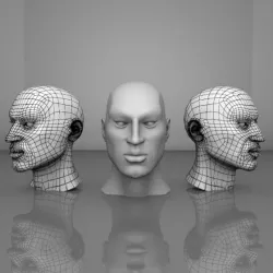 Human Head Mesh