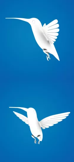Humming Bird