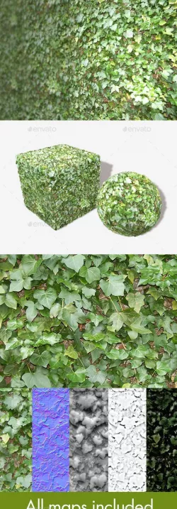 Ivy Wall Seamless Texture