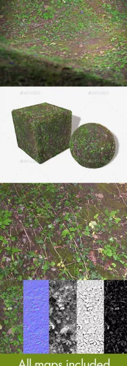 Jungle Ground Seamless Texture