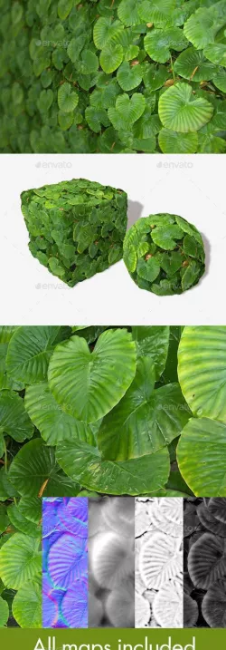 Jungle Leaves Background Seamless Texture