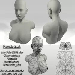 Low Poly Female Bust