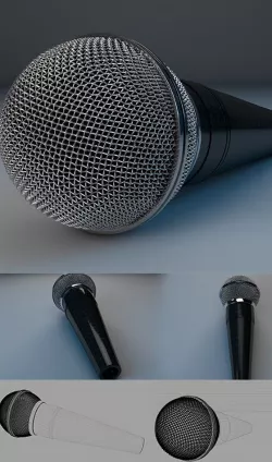 Microphone