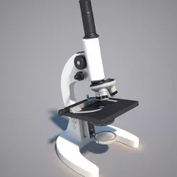 Microscope