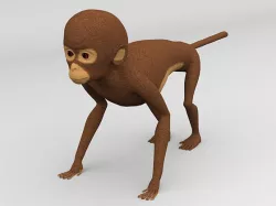 Monkey