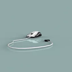 mouse