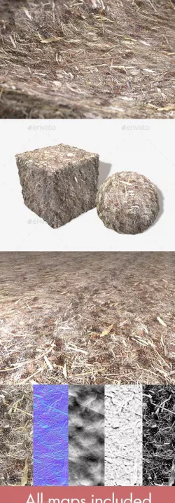 Pine Cones and Twigs Seamless Texture