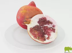 Pomegranates 3D Model