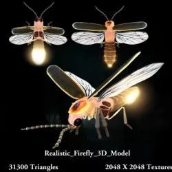 Realistic Firefly 3D Model