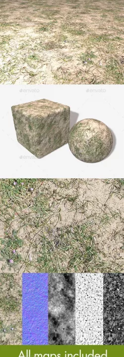 Sand Grass Weeds Seamless Texture