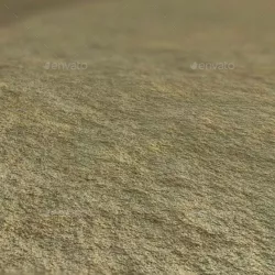 Seamless Continental Sand Texture