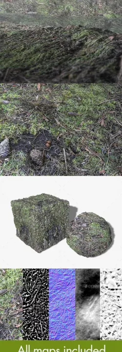 Seamless Forest Ground Texture