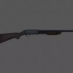 Shotgun