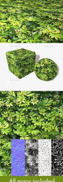 Small Jungle Leaves Seamless Texture
