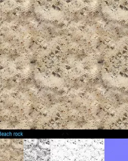 Smooth beach rock