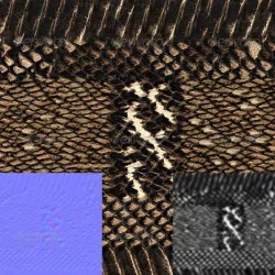 snake skin