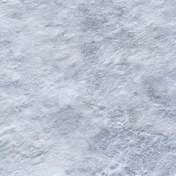 Snow (Dirty) Seamless Ground Texture