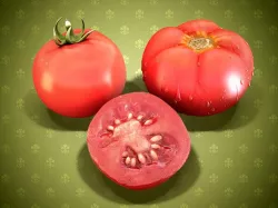 Tomatoes