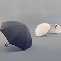 Umbrella