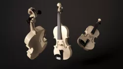 Violin