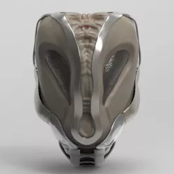 Alien Helmet