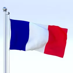 Animated France Flag
