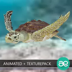 Animated Loggerhead sea turtle
