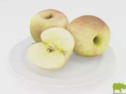 Apples 3D Model