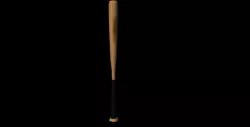 Baseball,bat