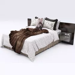 Bed Collection 43
