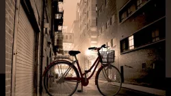 Bicycle With Basket