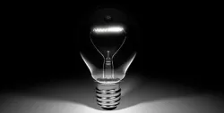 Bulb