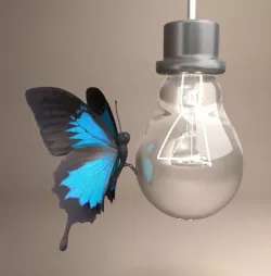 Butterfly and light