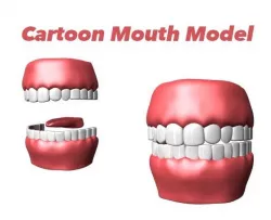 Cartoon Mouth Model
