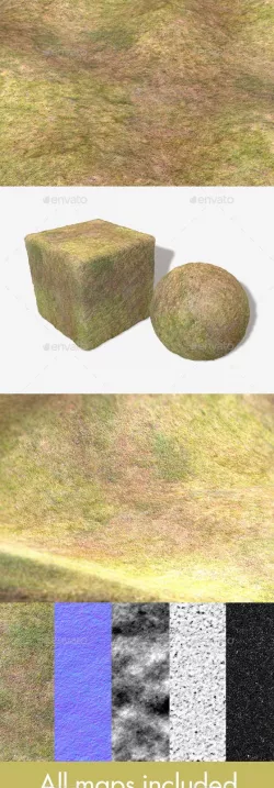 Dry Grass Birds Eye View Seamless Texture