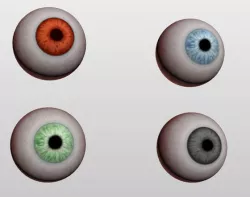 Eyeball