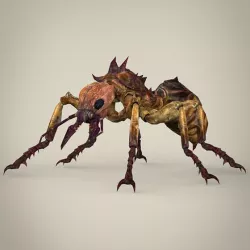 Fantasy Warrior Ant