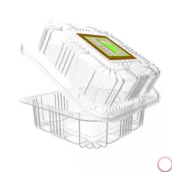 Food Plastic Pack