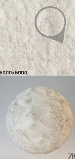 Fur Texture
