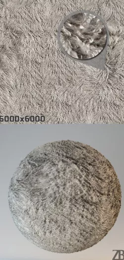 Fur Texture