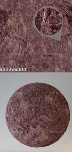 Fur Texture