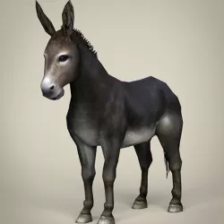Game Ready Realistic Donkey